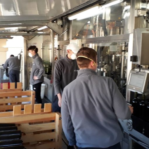Bottling at Château de Musset